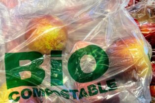 Bioplasty: řešení, nebo problém?