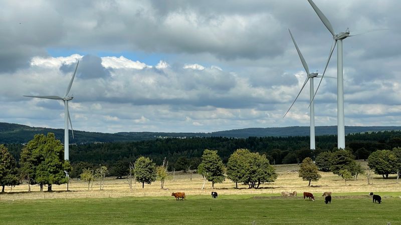 BCG a Svaz moderní energetiky spojují síly pro rozumnou modernizaci české energetiky